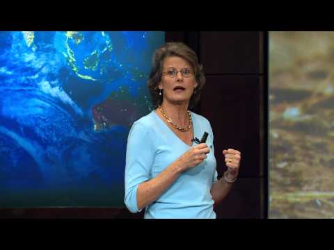 Humans, Biodiversity, and Habitat Loss — HHMI BioInteractive Video