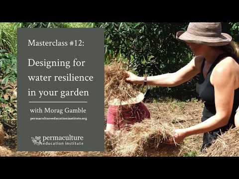 Six simple ways to save water in your garden