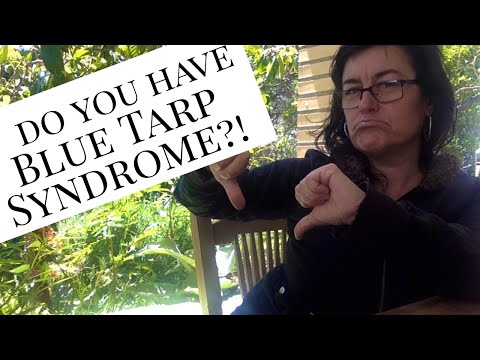 Just say NO to Blue Tarp Syndrome! Why you need to KonMari your Permaculture Site