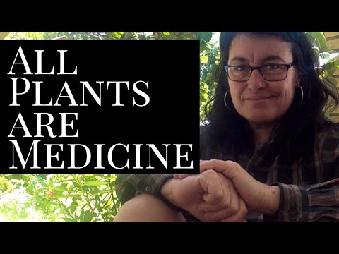 All Plants are Medicine