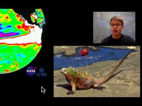 Ecosystem Change