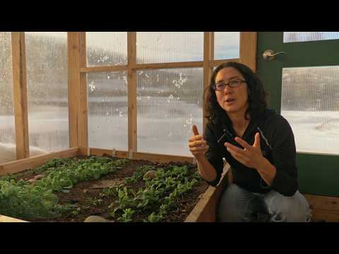 Appropriate Technology Module - What is Appropriate Technology?