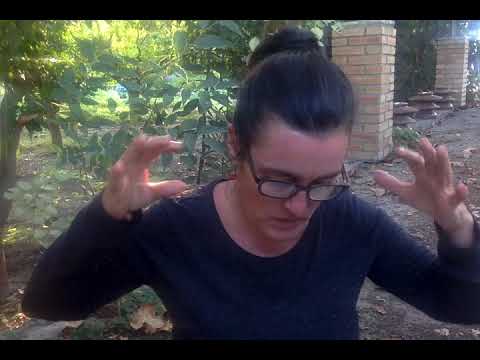 Emotional Permaculture Principles