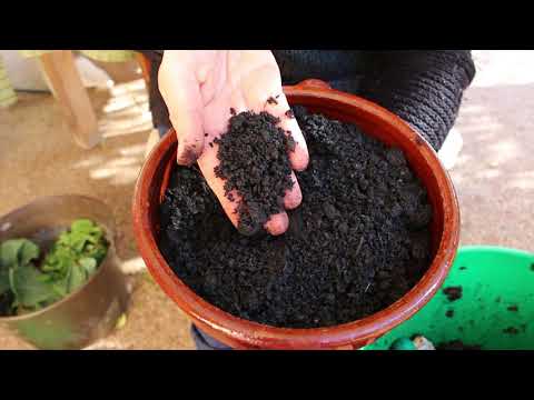 No such thing as waste in a garden
