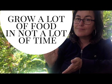 Mini-Garden Tour! How to grow a lot of food with not a lot of work