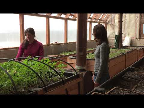 A Passive Solar Greenhouse - In the Alaska Garden with Heidi Rader