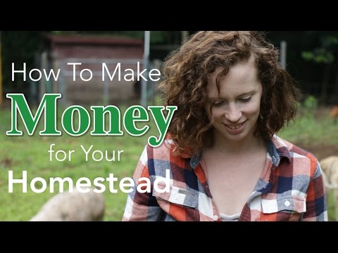 How to Make Money for Your Homestead