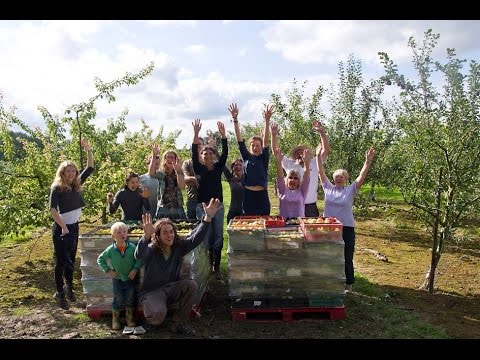 Feedback’s Gleaning Network – Why is good food wasted on farms?