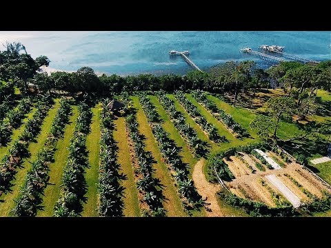 10 months to PARADISE with Permaculture Design | the 12 Acre Farm of the Future