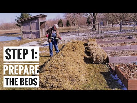 Ruth Stout - Deep Mulch Gardening Experiment - Part 1