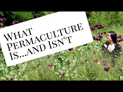What Permaculture Is &amp; Isn't, w/Heather Jo Flores (Food Not Lawns &amp; Permaculture Women's Guild)