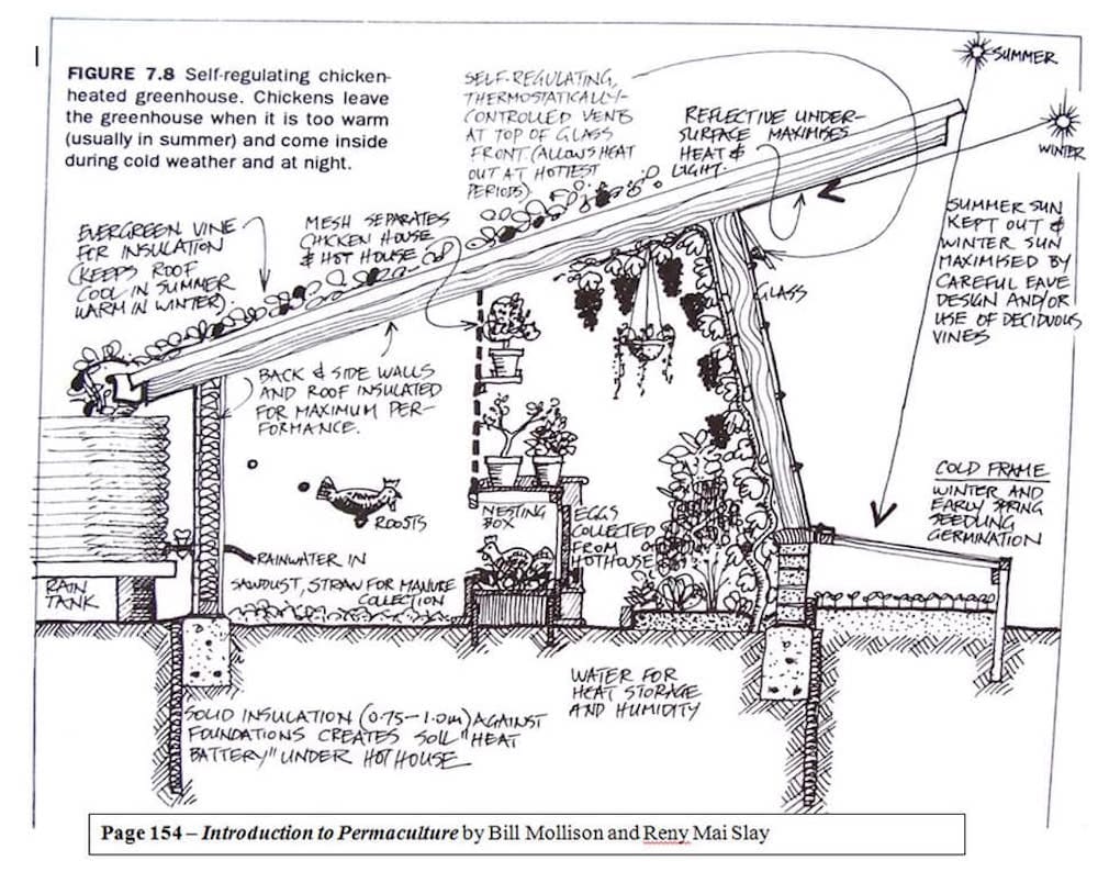 chickengreenhouse
