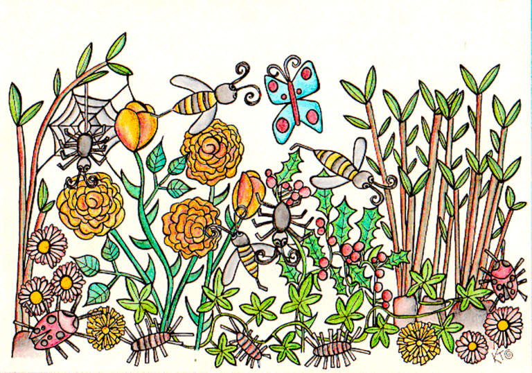 biodiversity illustration
