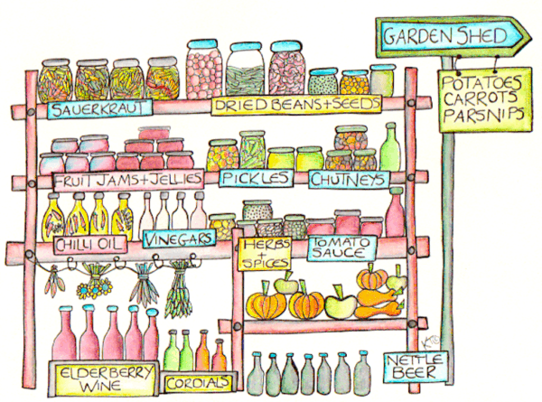 root cellar illustration