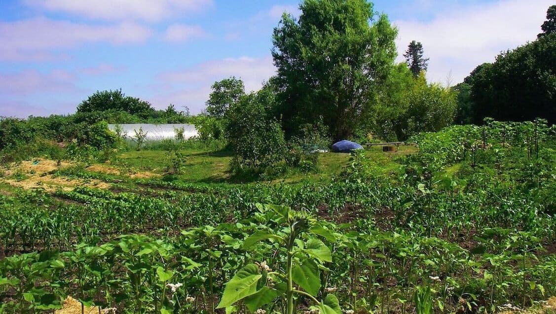 organic permaculture farm in oregon