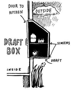 fnl 8 11 orig draft box illustration by Jackie Holmstrom