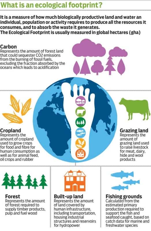 fullfootprint org orig what is an ecological footprint infographic