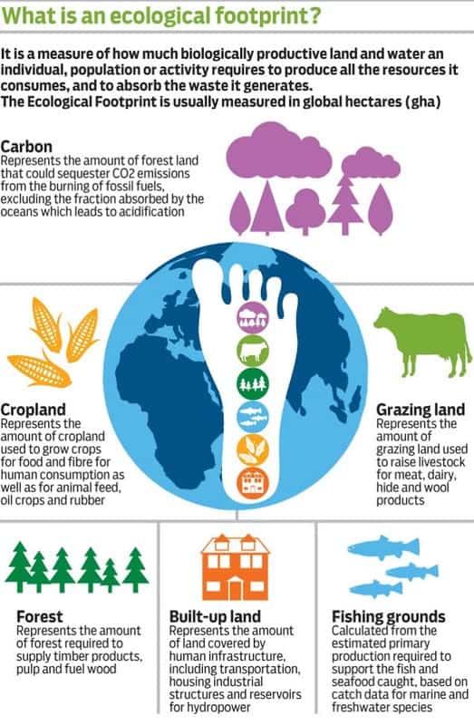 thesis ecological footprint