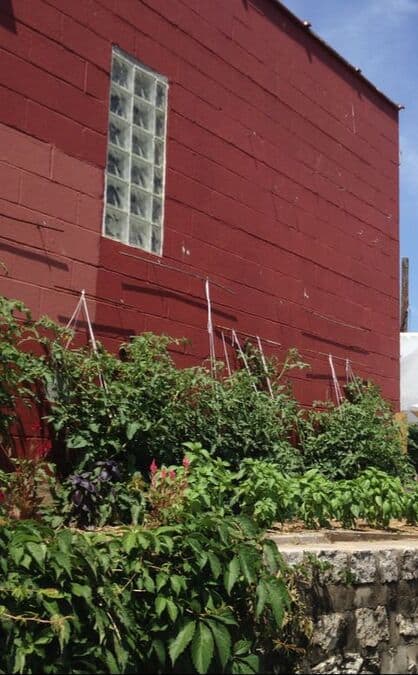 vertical gardens and a compact greenhouse nested into a hot corner of a parking lot 1 vertical-gardens-and-a-compact-greenhouse-nested-into-a-hot-corner-of-a-parking-lot_1