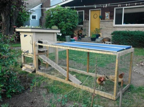 backyard chicken coop with green roof 1 backyard-chicken-coop-with-green-roof_1