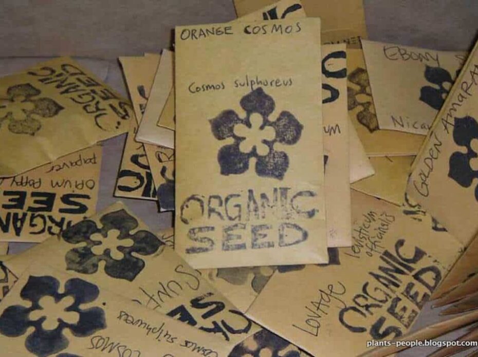 packets of organic seed