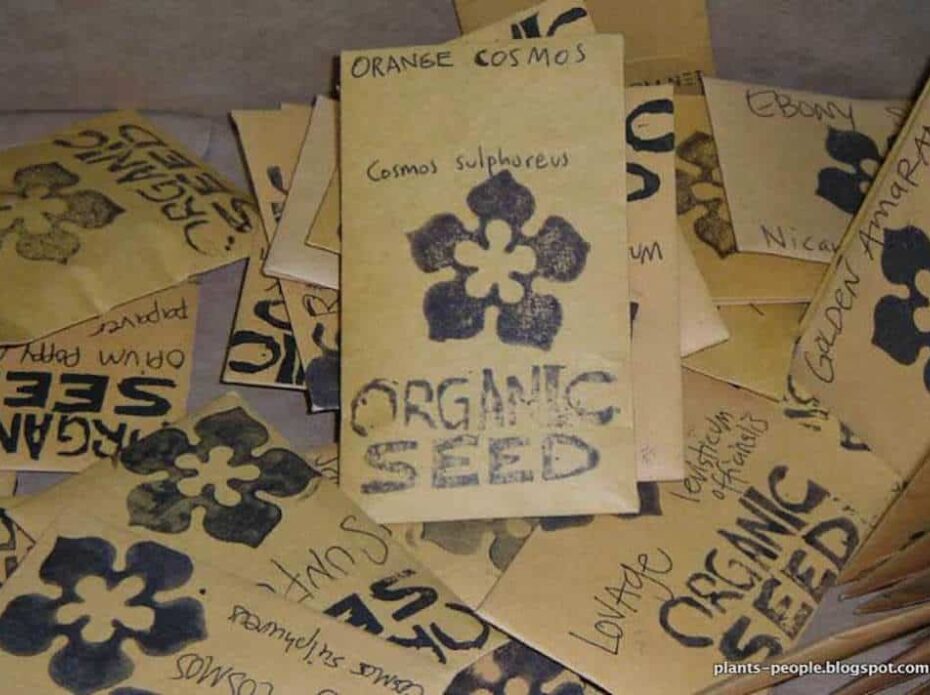 9 seed packets orig packets of organic seed