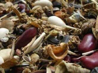 s1 orig many types of seeds together
