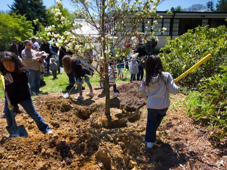 Permaculture Activism and Community Organizing: community tree planting with children 