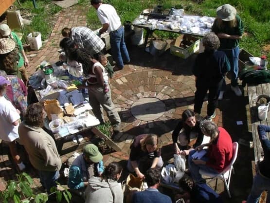 seed swap with tables and people talking