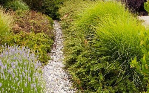 remove lawn featured image2 herb beds with stone path
