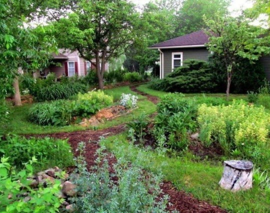 home of midwest permaculture 2014 stelle il 640x480 1 transformed urban garden with vegetable and herb beds