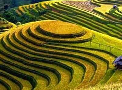 pupuan rice terrace ancient terraces using regional water sharing techniques