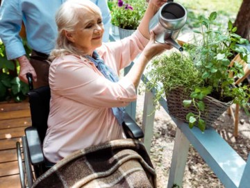 wheelchair gardener elder woman