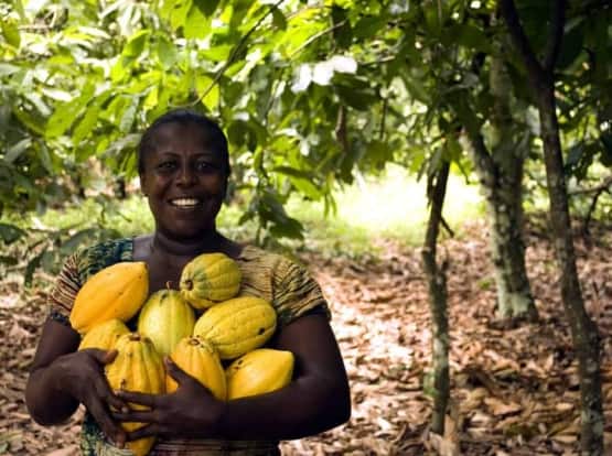 woman holding cacao fruits in forest garden
