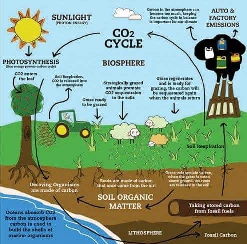 carbon farming