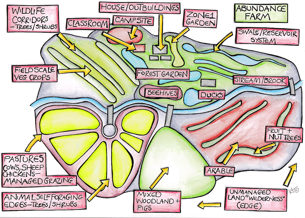 Farm Scale Permaculture illustration by Katie Shepherd