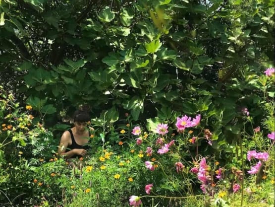 ultralight img 7645 woman in garden with fig tree and flowers