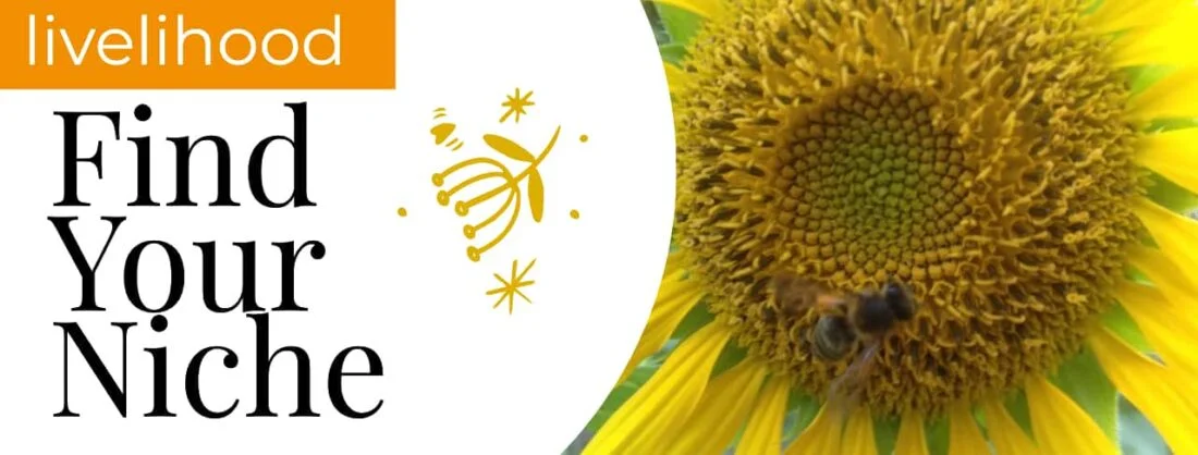 Find your eco-niche course