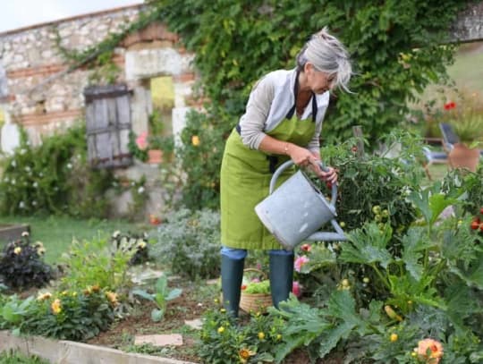 Depositphotos 35319933 s 2019 senior woman watering cottage garden with watering can