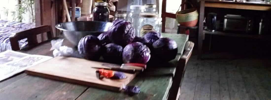 Food Preservation - red cabbage sauerkraut in farm kitchen