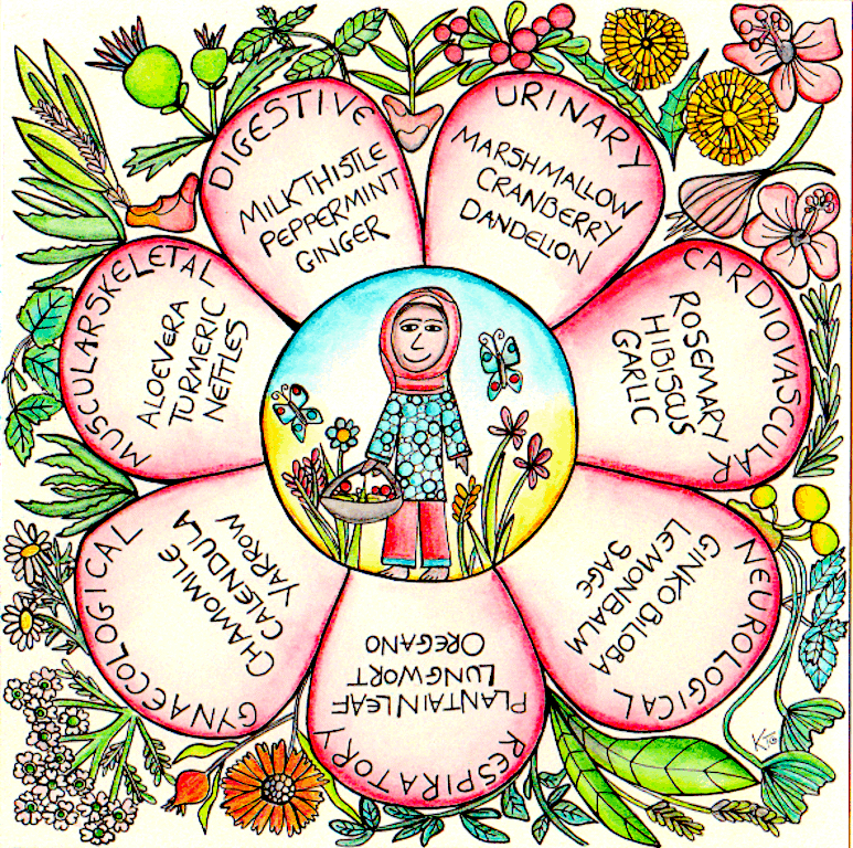Final 30 The Medicine Garden Medicine garden infographic