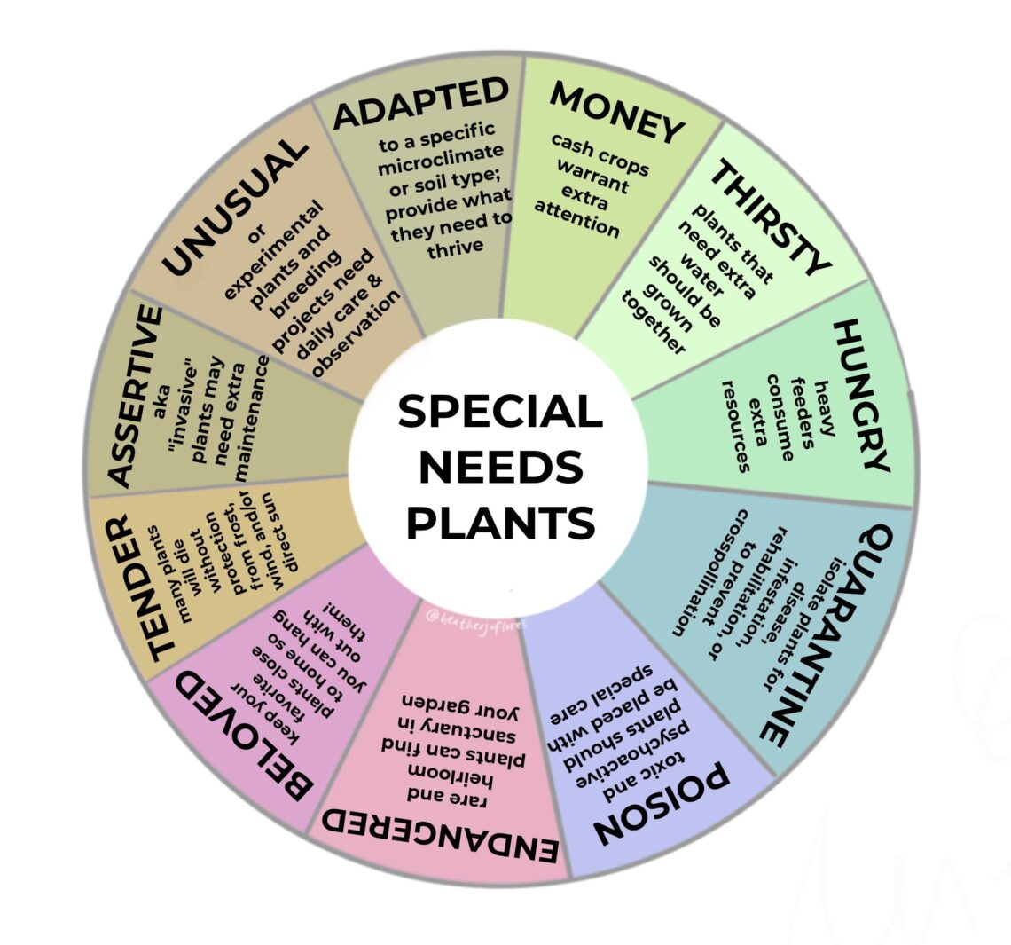 special needs plants 1 permaculture biodiversity - special_needs_plants infographic by Heather Jo Flores