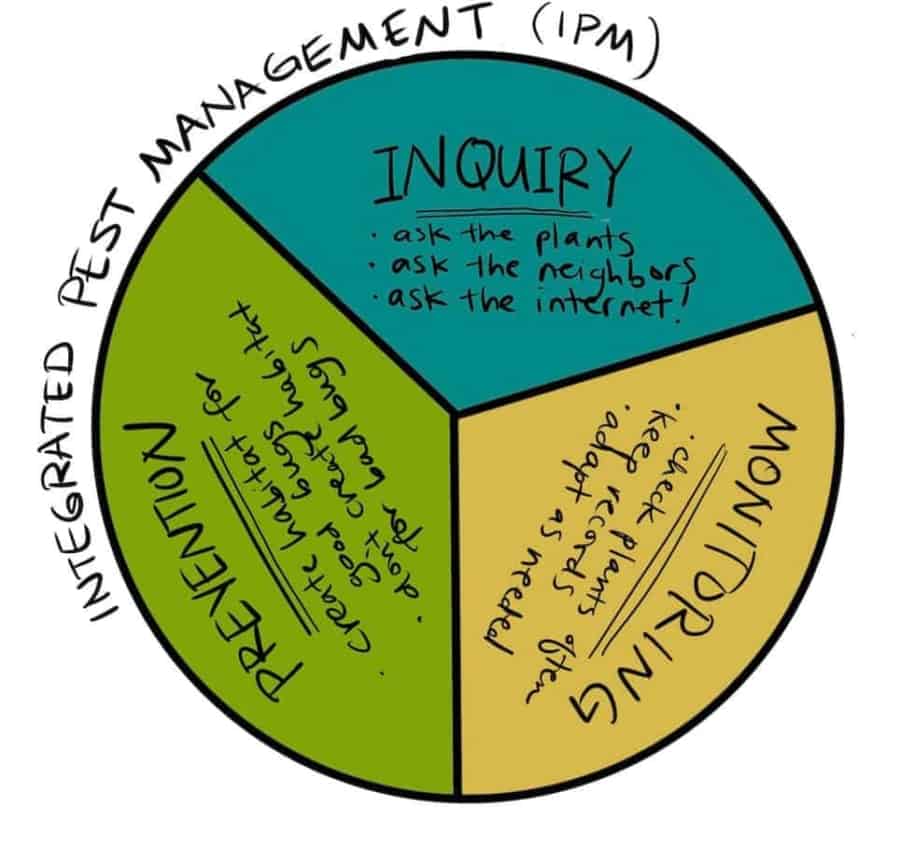integrated pest management integrated pest management pie chart