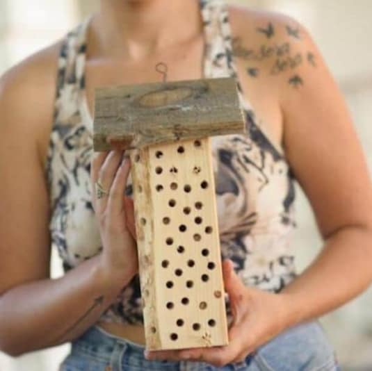resized drilledmasonbeeblock Integrated Pest Management: woman holding mason bee house