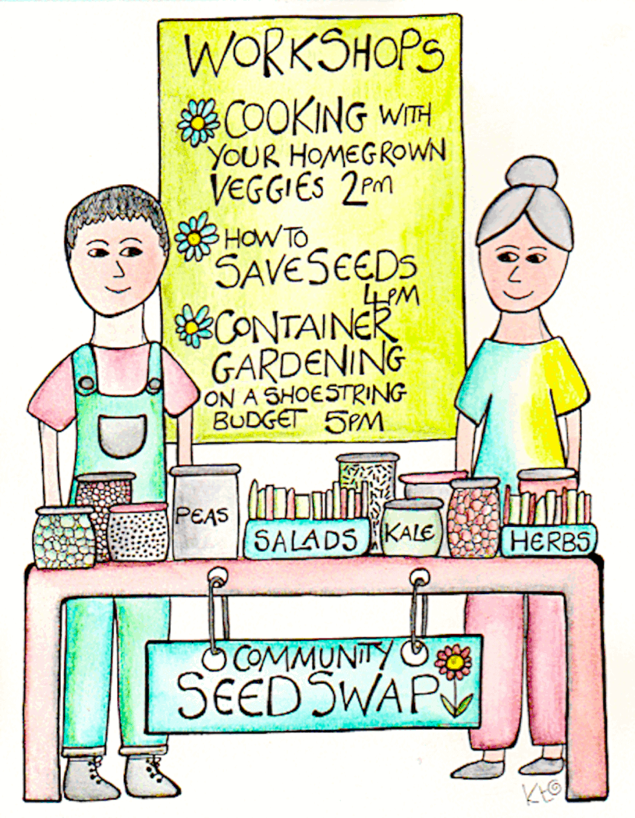 Seed Swap illustration by Katie Shepherd