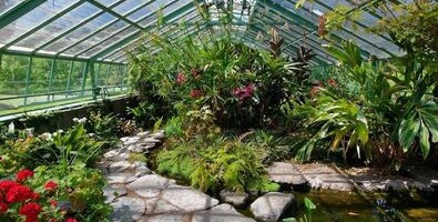 microclimate in a greenhouse microclimate in a greenhouse with tropical plants, flowers and pools