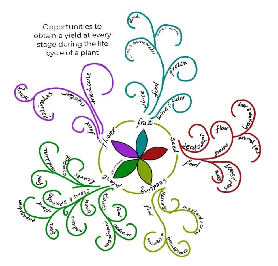 Cyclic Opportunity on a Permaculture Site - spirals_and_eddies_by Marit Parker