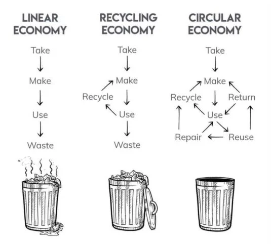 sustainable economy Cyclic Opportunity on a Permaculture Site - waste in linear and circular economies