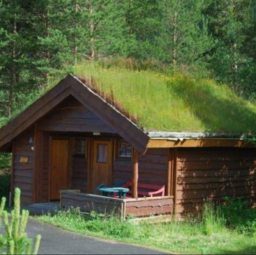 wooden cabin with green living roof