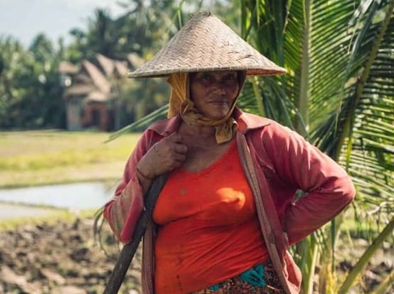 woman farming